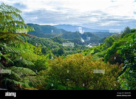 Waimangu Volcanic Valley, Rotorua, North Island, New Zealand Stock Photo - Alamy