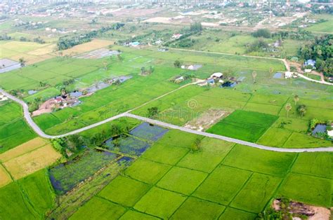 Landscape of rice farm stock image. Image of plantation - 29935031