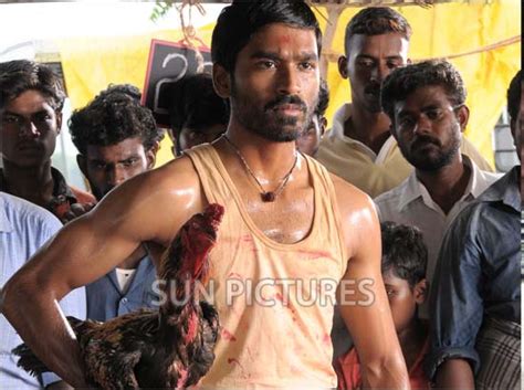 Aadukalam - Movie of Dhanush & Taapsee Pannu | Sun Pictures