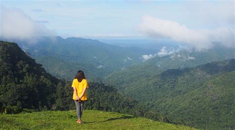 Vagamon Hills Station, Kerala