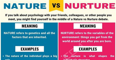 Exploring the Nature vs Nurture Debate