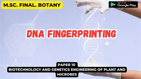 DNA Fingerprinting - EXAM A2Z