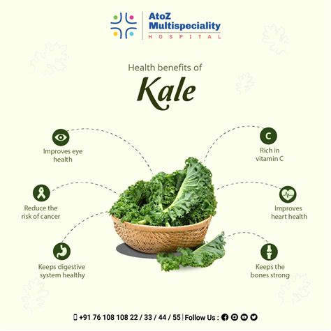 Benefits of kale | Kale benefits health, Healthy bones, Health vitamins