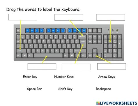 Basic Keyboard Keys worksheet in 2024 | Worksheets, Keyboard lessons, Keyboard