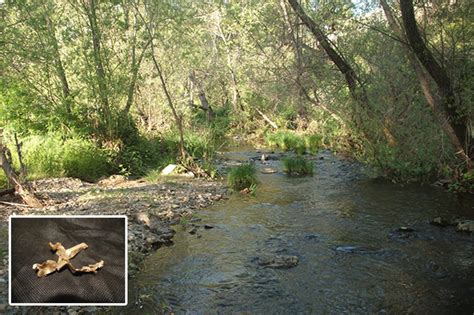 3. Jamestown Gold Panning, California | Gold Fever | Discovery