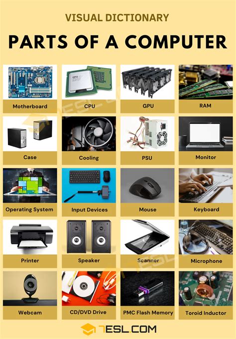 Parts of a Computer in English • 7ESL