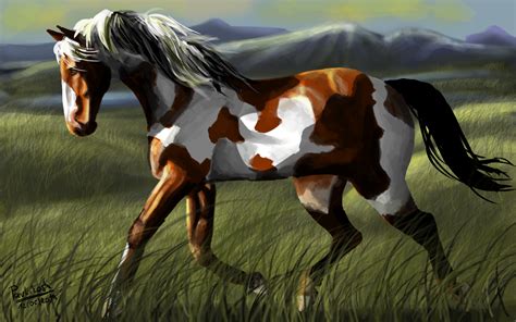 American Paint Horse by tpavlikova on Newgrounds