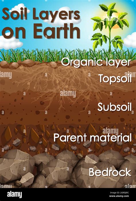 Different soil layers on earth Stock Vector Image & Art - Alamy