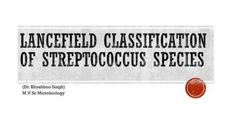 Lancefield classification of streptococcus species - YouTube