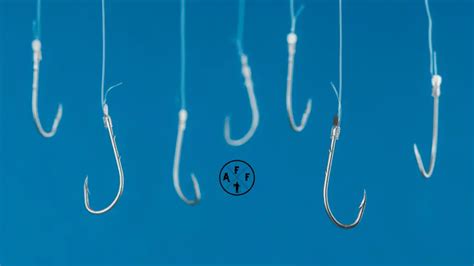 Types Of Fishing Hooks 101: Essential Guide For Anglers