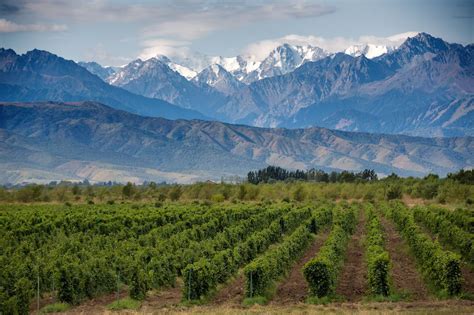 20 Epic Wine Regions to Visit Before You Die