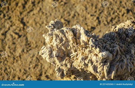 Wooden Pole in Salt Mud. Concept of Scenic Azov, Beta-carotene, Sunny Background, Fossil, Halite ...