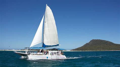 Whale Watching Sailing Cruise - Nelson Bay, Port Stephens - Adrenaline