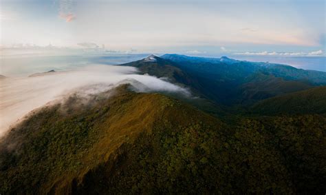 Visiting Mount Hamiguitan Range Wildlife Sanctuary