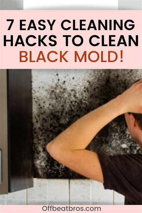 Black Mold Removal: 7 Effective Hacks to Clean black Mold in 2020 | Clean black mold, Easy ...