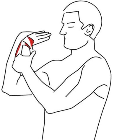 5 Awesome Stretches for Wrist and Elbow Pain – Nielasher.com Elbow Exercises, Better Posture ...