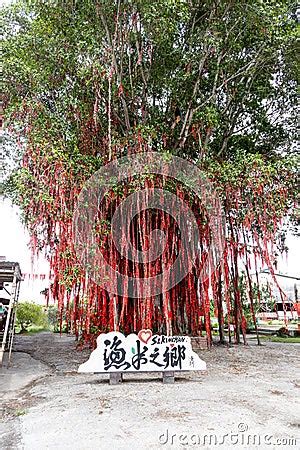 Sekinchan Wishing Or Hope Tree In Pantai Redang Is Popular Tourist ...