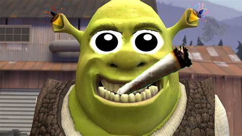 Download Meme Shrek Funny Face PNG & GIF BASE