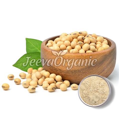 Organic Soy Protein Powder Supplier | Bulk Organic Soy Protein Powder ...