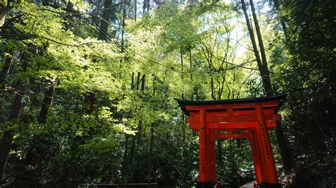 76 best Fushimi Inari Shrine images on Pholder | Japanpics, Pics and Travel