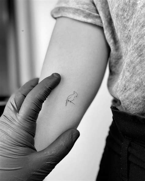 Minimalistic cockatoo tattoo located on the inner