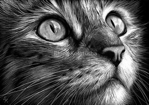 « Visage de chat - art de scratchboard » par Elena Kolotusha | Scratchboard art, Cat art, Animal ...