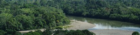 Amazon (Ecuador) - Wikitravel