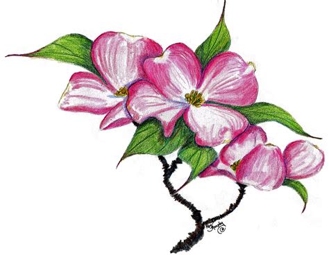 clip art pink dogwood flower - Clip Art Library