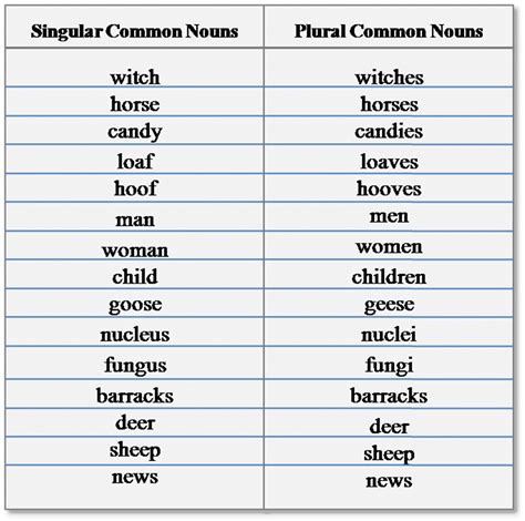 Singular Noun and Plural Noun