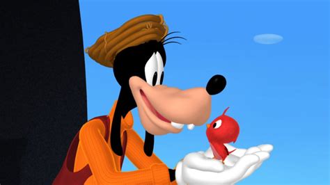 Goofy's Bird - YouTube