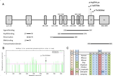 Position of aryl hydrocarbon receptor (AHR) variant. a. Schematic ...