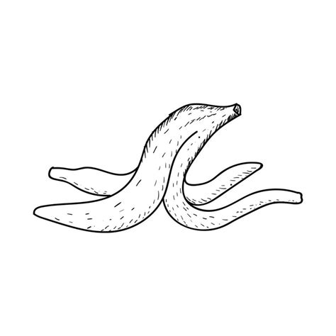 Retro Ink Hand Drawn Sketch of Banana Peel 34920850 Vector Art at Vecteezy