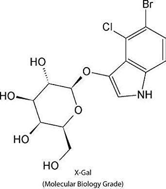 LITHIUM CHLORIDE (For Molecular Biology) Manufacturer, Supplier, Exporter