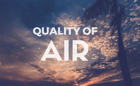 Quality of Air | Darya Haitoglou