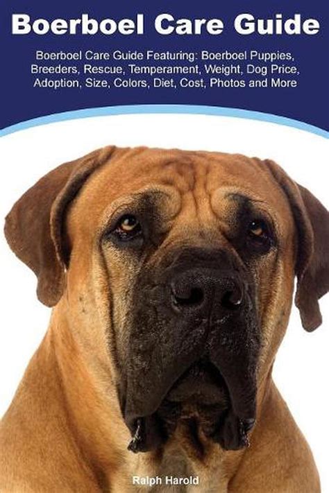 Boerboel Boerboel Care Guide Featuring: Boerboel Puppies, Breeders, Rescue, Temp 9781910547168 ...