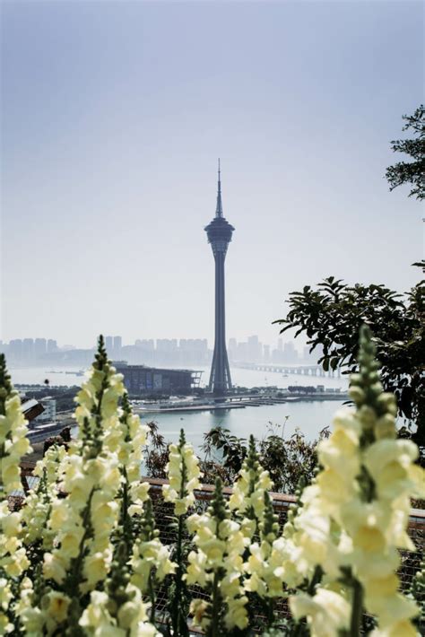 Macau Tower - Macau Lifestyle