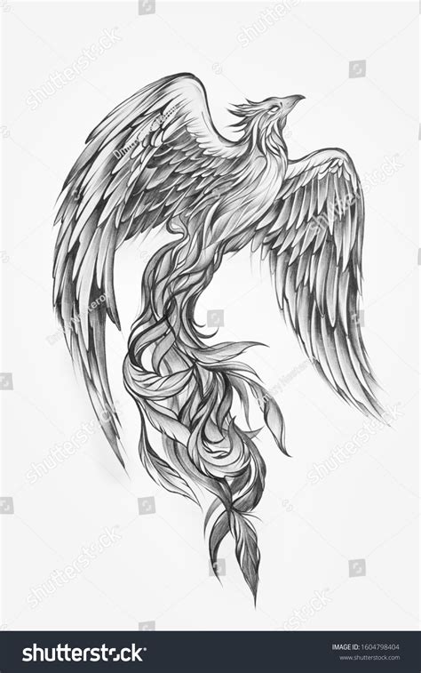 2,580 Sketch Phoenix Images, Stock Photos & Vectors | Shutterstock