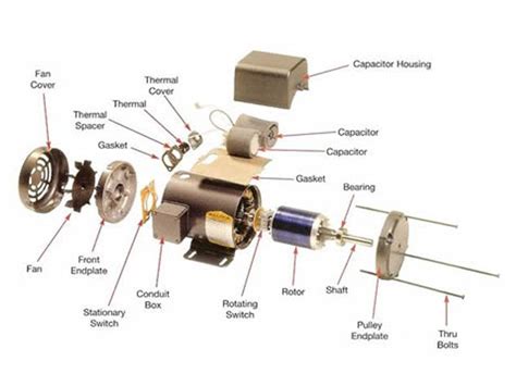 Hydraulic Motor Exploded View