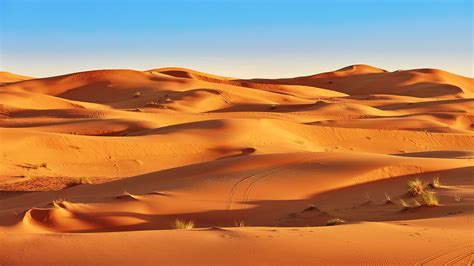 Wallpaper : nature, landscape, desert, sand, Sahara, clear sky, Africa, dunes, plants, tire ...