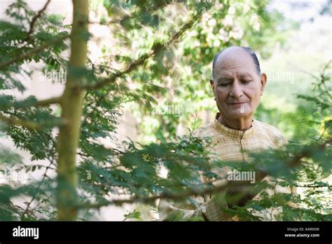 Man walking among trees outdoors Stock Photo - Alamy