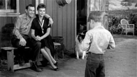 Watch Lassie (1954) Online - Full Episodes of Season 5 to 1 | Yidio