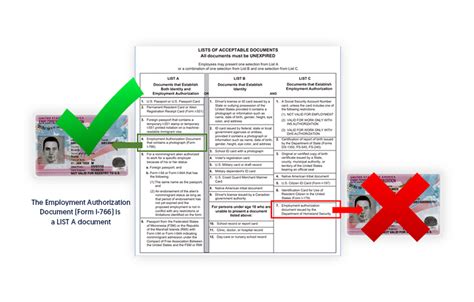 The Employment Authorization Document Form I 766 Is A LIST A Document ...