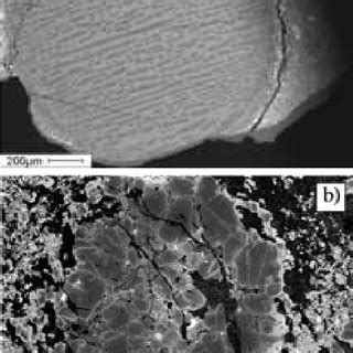 Backscattered electron microscope images of two chondrules from the ...