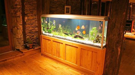 How to Maintain a Big Fish Tank | Aquarium Care - YouTube