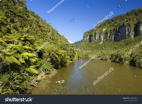 7 Paparoa nationalpark Images, Stock Photos & Vectors | Shutterstock