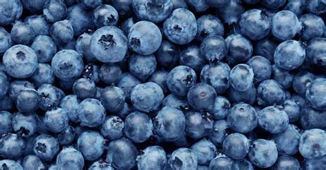 Blueberries 101: Nutrition Facts and Health Benefits