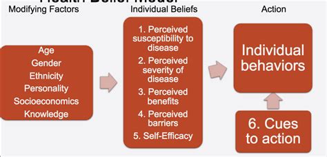 Health Belief Model Diagram | Quizlet