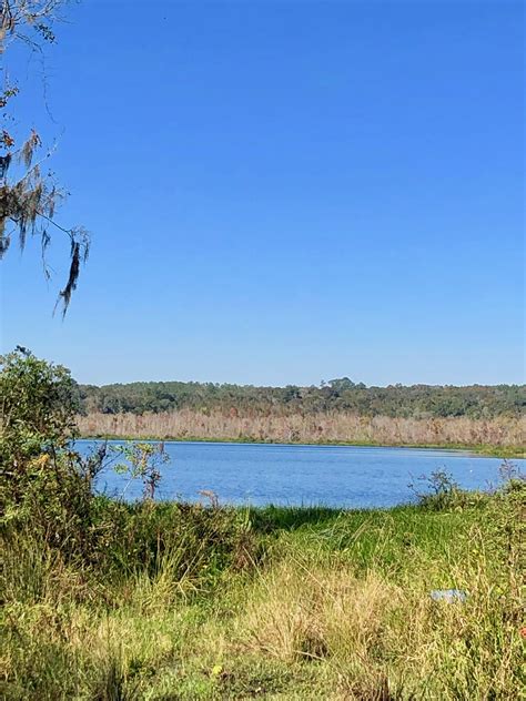 313 acres in Pasco County, Florida