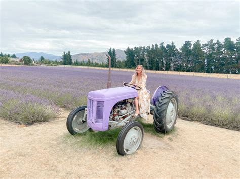 Wanaka Lavender Farm