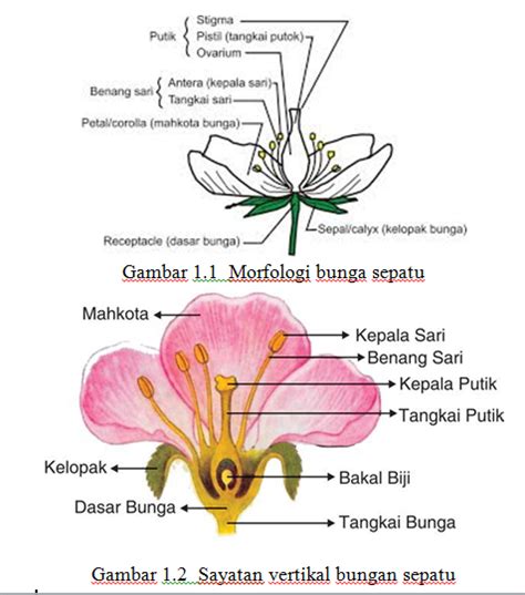 Contoh Praktikum - MuhammadKu